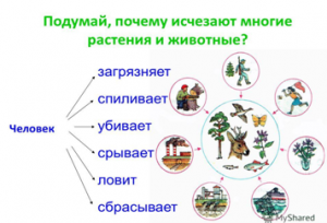 10 простых эко-советов